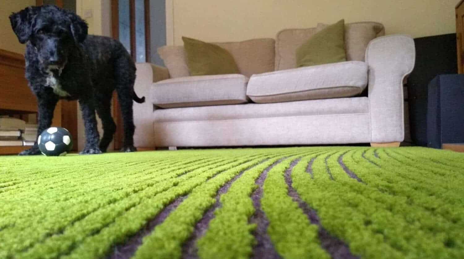Hiệu ứng tấm thảm trải nhà phong cách đồng quê mang lại vẻ đẹp như bạn đang mang cả một cánh đồng vào trong không gian của bạn.